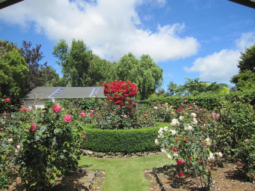 Thyme Out Estate Bed & Breakfast Halcombe Exterior photo