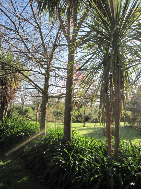 Thyme Out Estate Bed & Breakfast Halcombe Exterior photo