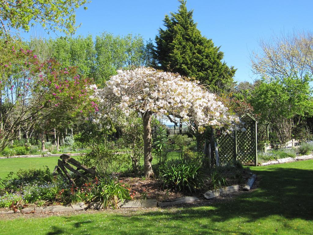 Thyme Out Estate Bed & Breakfast Halcombe Exterior photo